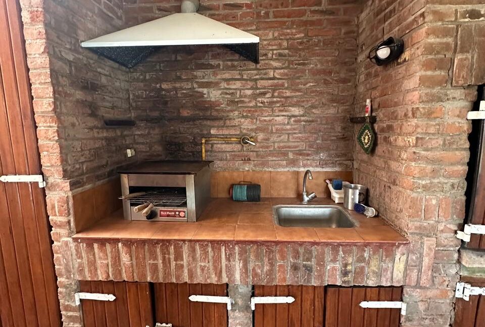 Jilguero Paraiso 17