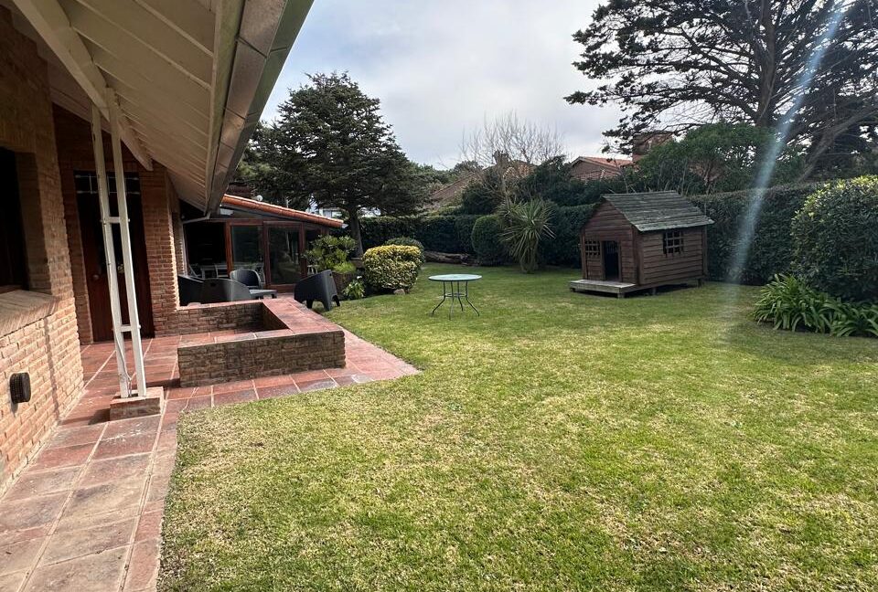 Jilguero Paraiso 18