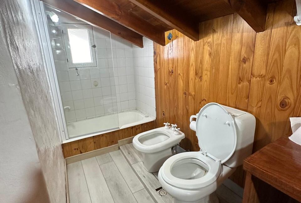 Jilguero Paraiso 32