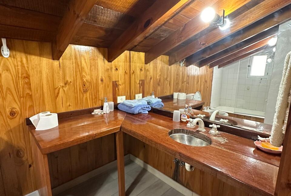 Jilguero Paraiso 33