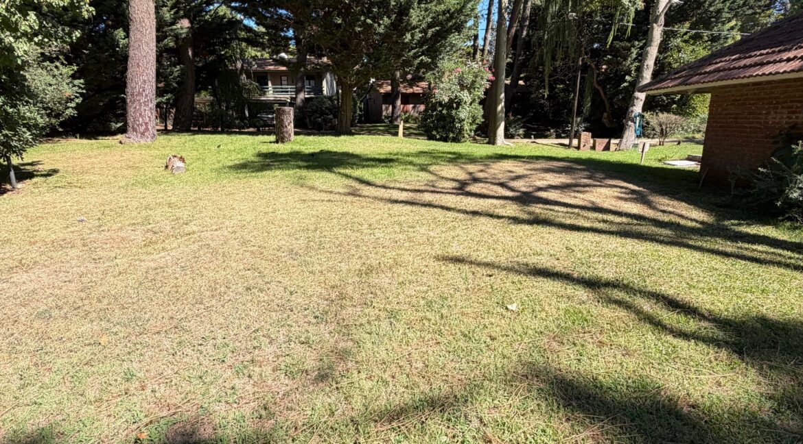 Hipocampo 449 25