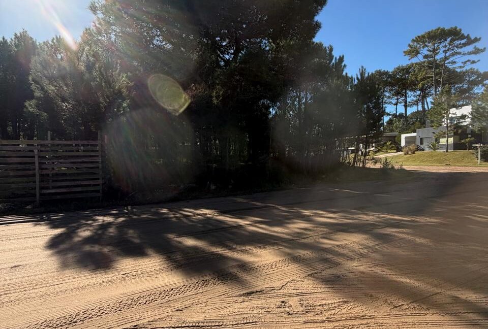 Lote Alamos 8 manz 238 2
