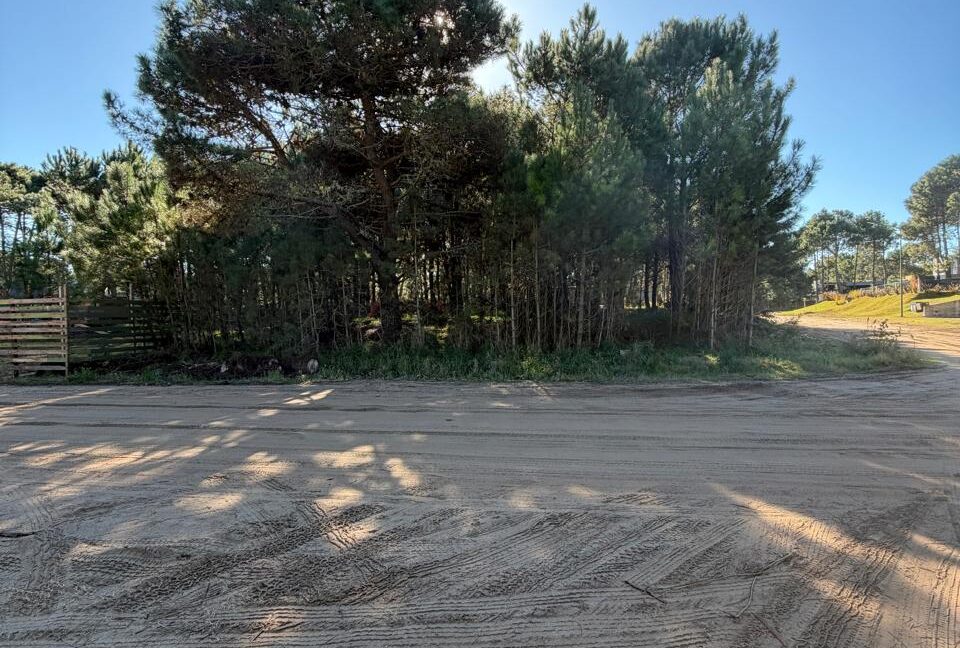 Lote Alamos 8 manz 238 3
