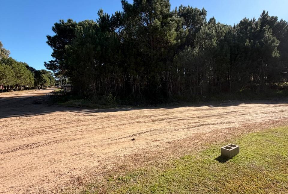 Lote Alamos 8 manz 238 5