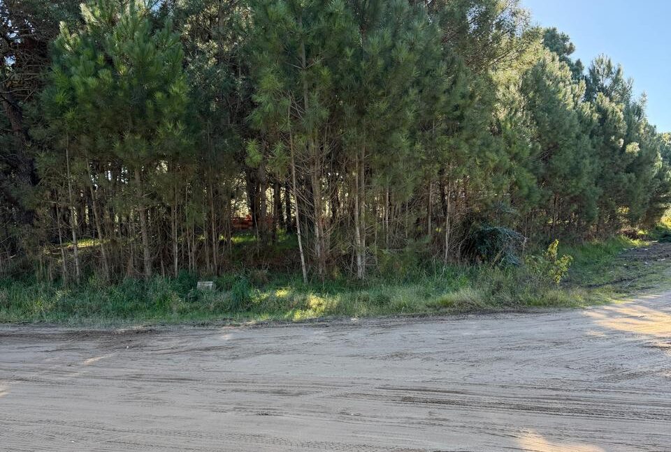 Lote Alamos 8 manz 238 6